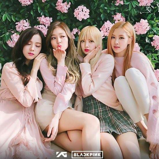 blackpink为什么叫粉墨？blac(BLACKPINK粉墨什么意思)