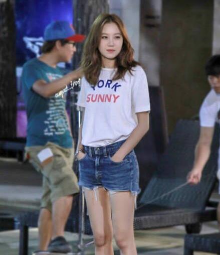 孔孝真的狗是什么品种 孔孝真的狗是什么品种