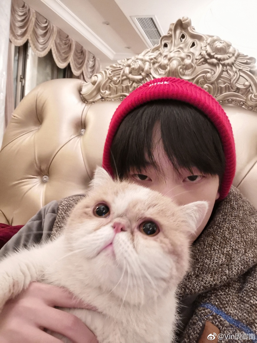 周震南和马伯骞什么关系(周震南说马伯骞是他女朋友) 周震南和马伯骞什么关系(周震南说马伯骞是他女朋友)