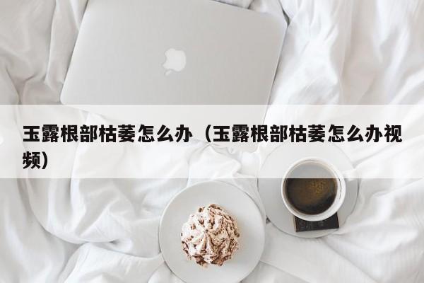 玉露根部枯萎怎么办（玉露根部枯萎怎么办视频） 