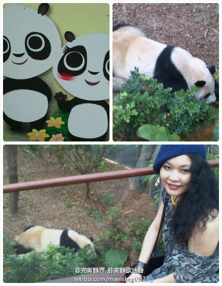 许美静的左手不能动怎么回事