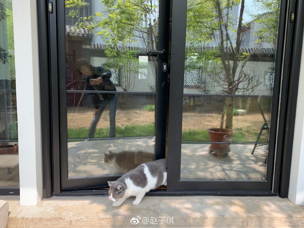 赵子琪家的别墅在北京哪里？赵子琪为什么离