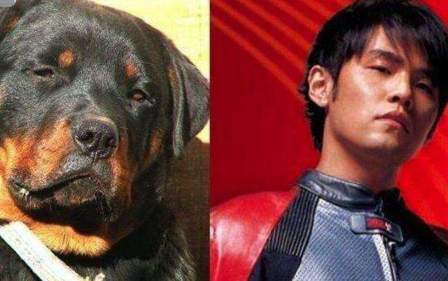 周杰伦为什么叫周结巴、陈少荣？周杰伦和狗