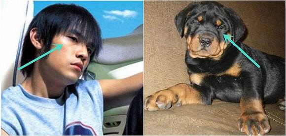 周杰伦为什么叫周结巴、陈少荣？周杰伦和狗