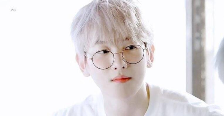 伯贤狗狗为什么叫梦龙