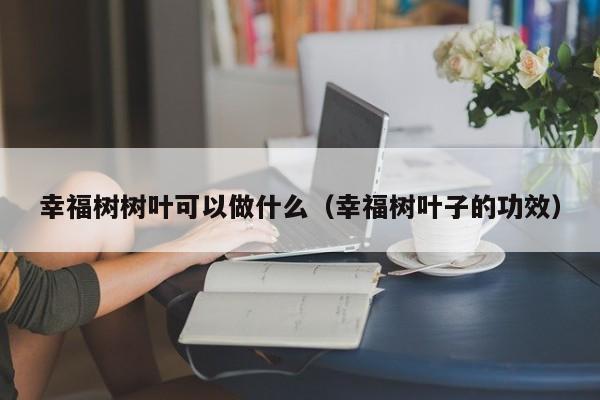 幸福树树叶可以做什么（幸福树叶子的功效） 