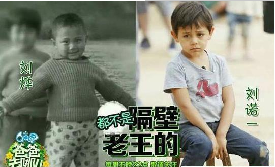 刘烨小时候照片跟诺一对比图(刘烨和诺一的视频)