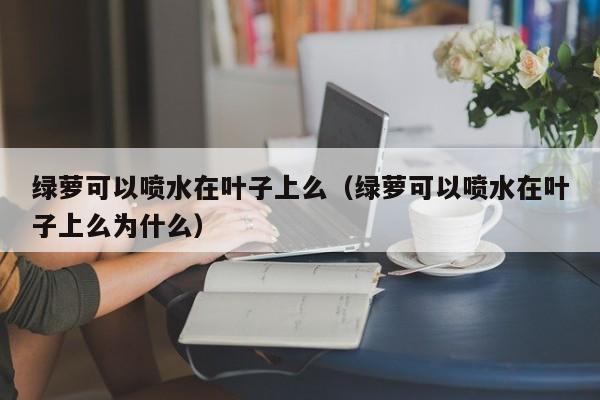 绿萝可以喷水在叶子上么（绿萝可以喷水在叶子上么为什么） 