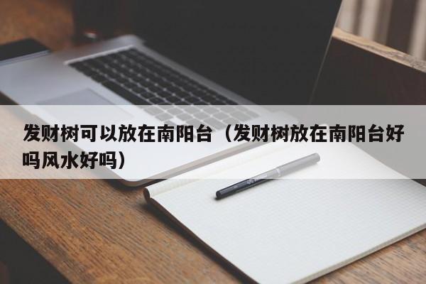 发财树可以放在南阳台（发财树放在南阳台好吗风水好吗） 