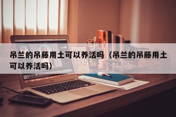 吊兰的吊藤用土可以养活吗（吊兰的吊藤用土可以养活吗） 