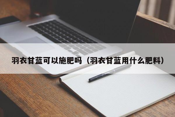 羽衣甘蓝可以施肥吗(羽衣甘蓝用什么肥料)