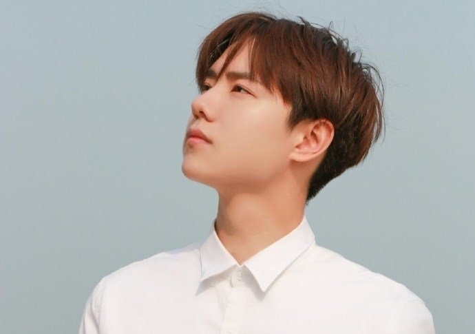 惹不起的殿下大人沈大夫扮演者是谁(惹不起的殿下大人演员)