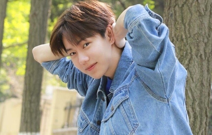 惹不起的殿下大人沈大夫扮演者是谁(惹不起的殿下大人演员) 惹不起的殿下大人沈大夫扮演者是谁(惹不起的殿下大人演员)