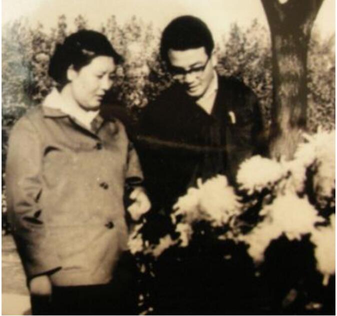 是谁害了杨丽坤她是怎么疯的(杨丽坤遭遇了什么)