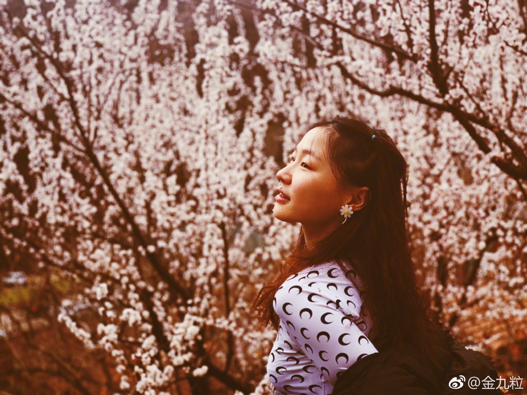 金靖怎么就火了哪里冒出来的(金靖是怎么火起来的)