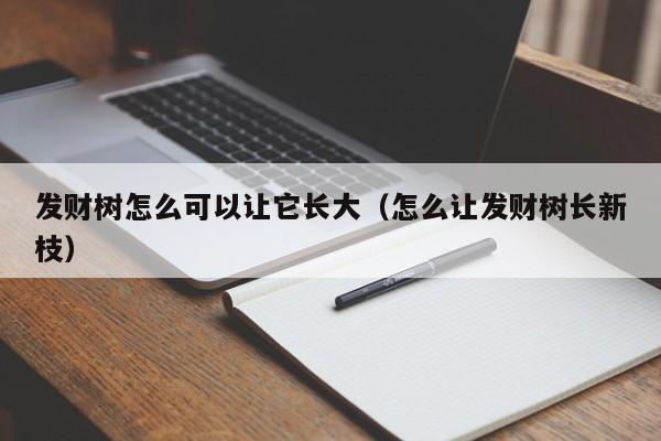 发财树怎么可以让它长大（怎么让发财树长新枝） 