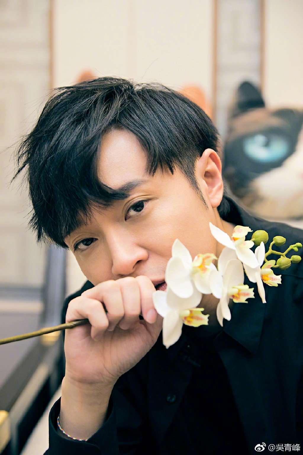 吴青峰为什么有英国血统(吴青峰为什么那么年轻)