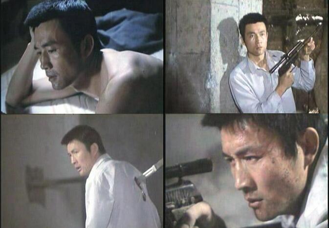 演员温海波和温海涛什么关系？温海波和沈保