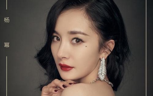 杨幂养的小宝贝到底是什么(大幂幂养小宝贝) 杨幂养的小宝贝到底是什么(大幂幂养小宝贝)