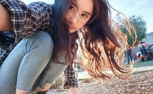 杨幂养的小宝贝到底是什么(大幂幂养小宝贝) 杨幂养的小宝贝到底是什么(大幂幂养小宝贝)