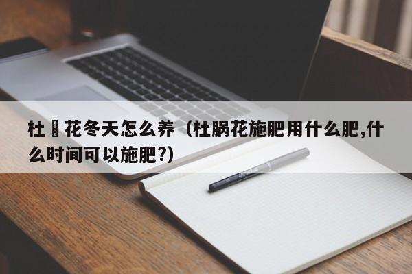 杜梋花冬天怎么养（杜脶花施肥用什么肥,什么时间可以施肥?） 