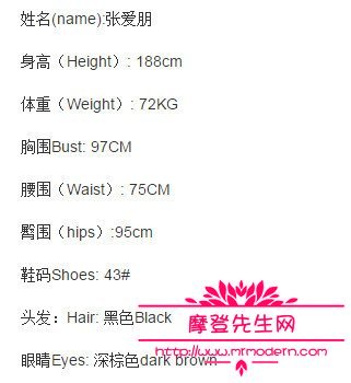 白百何出轨的神秘男士为十八线男模张爱朋(白百何出轨的人是谁)