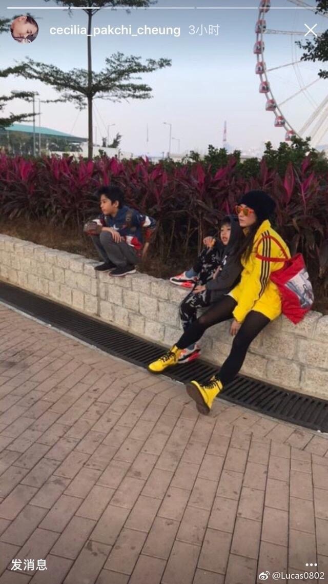 为什么说张柏芝晚年命比王菲好？张柏芝现在