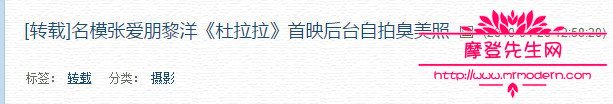 白百何出轨的神秘男士为十八线男模张爱朋(白百何出轨的人是谁)