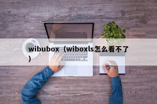 wibubox（wiboxls怎么看不了） 