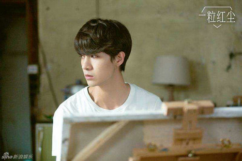 一粒红尘电视剧好看吗？电视剧一粒红尘何时(一粒红尘电视剧情介绍)