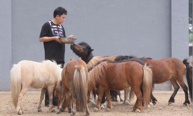 于谦为什么那么有钱钱是哪里来的