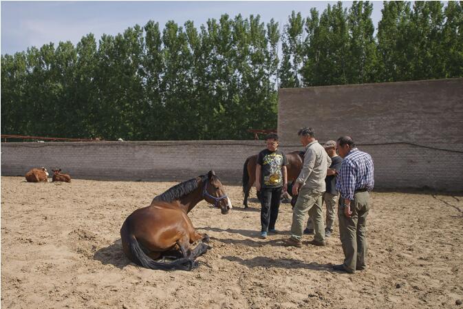 于谦为什么那么有钱钱是哪里来的