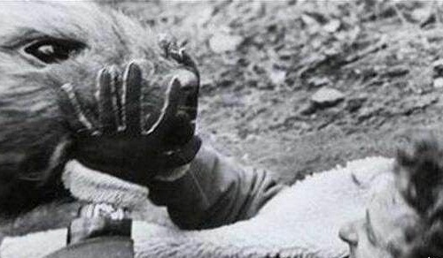 切尔诺贝利事件变种人曝光(切尔诺贝利事件变异后的人类图片)