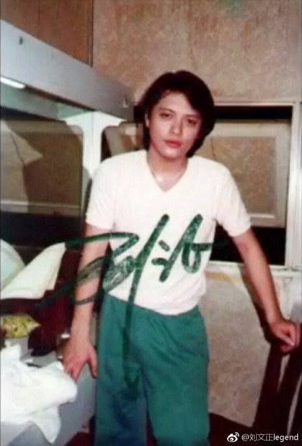 刘文正为什么隐退(刘文正去哪里了)