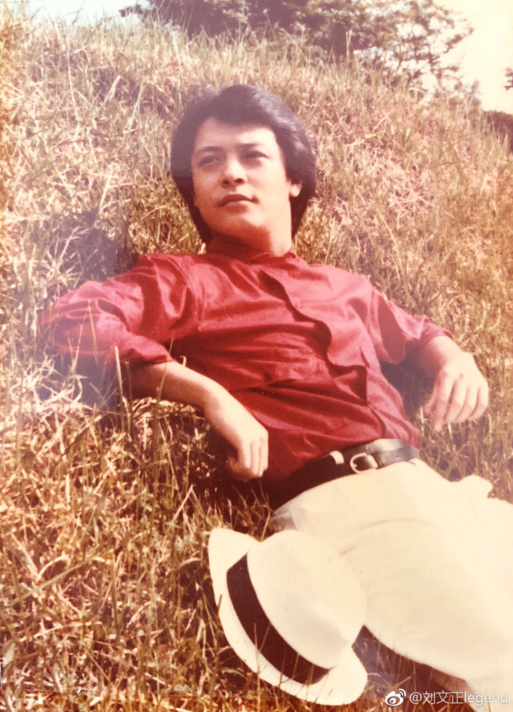 刘文正为什么隐退(刘文正去哪里了)