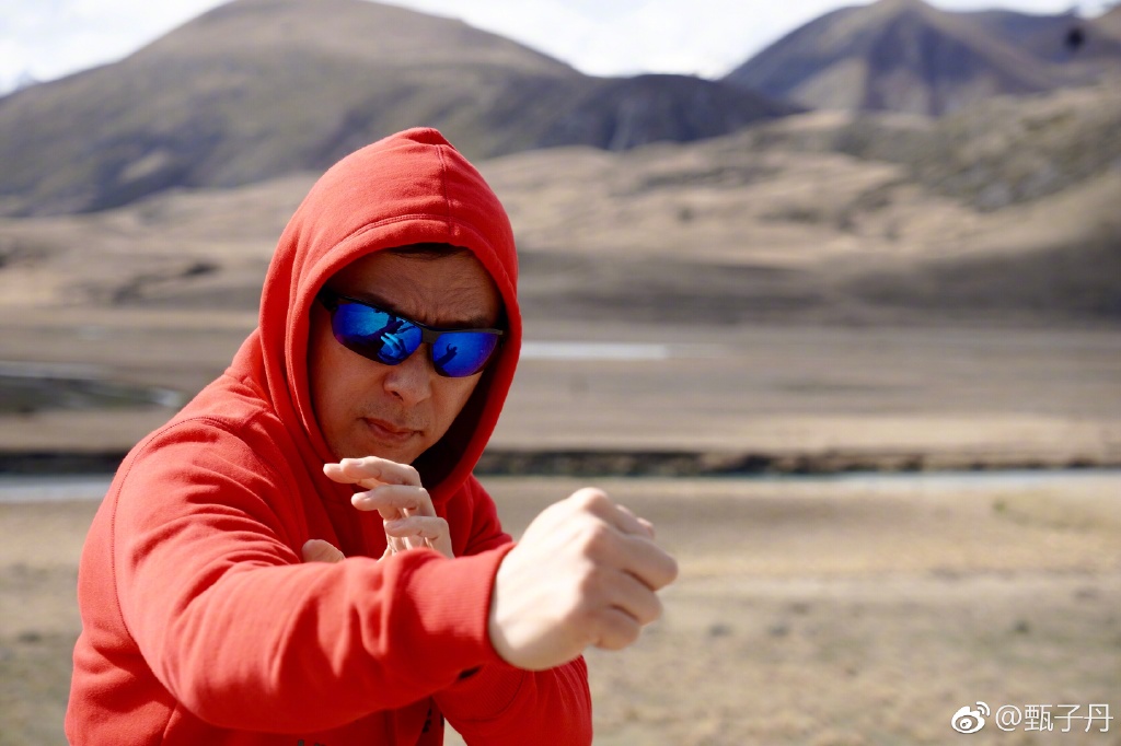 甄子丹学的什么武术是形意拳吗？甄子丹在美