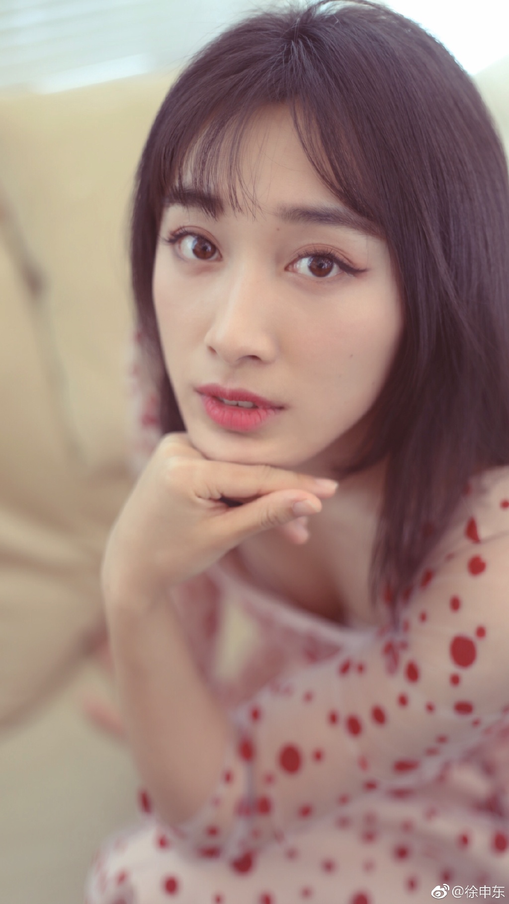 徐申东和王子文相似度对比图