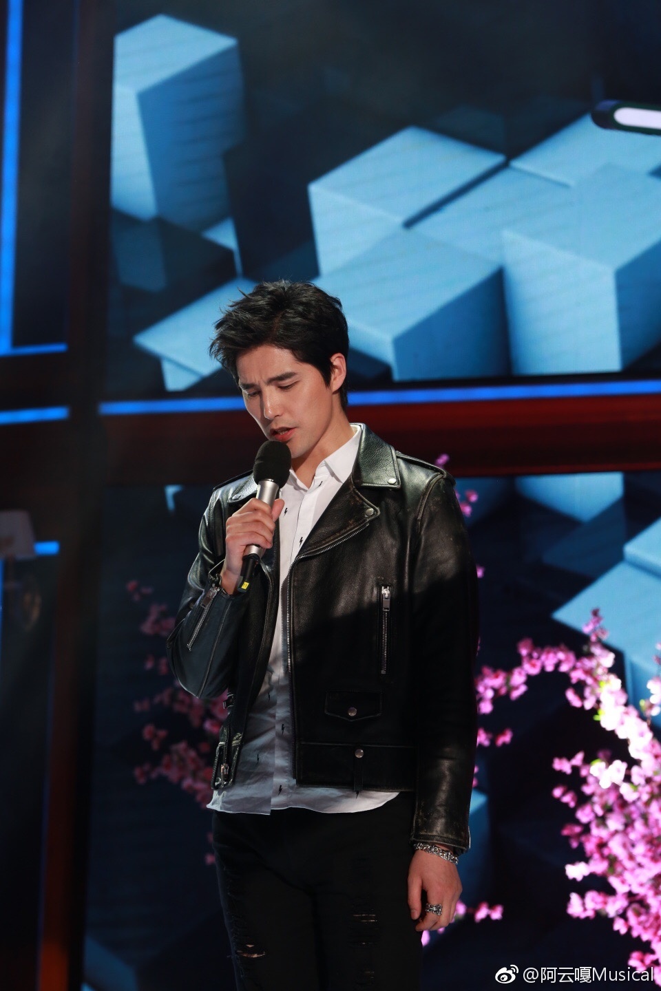 阿云嘎女朋友是鲁豫？阿云嘎和郑云龙是哪个