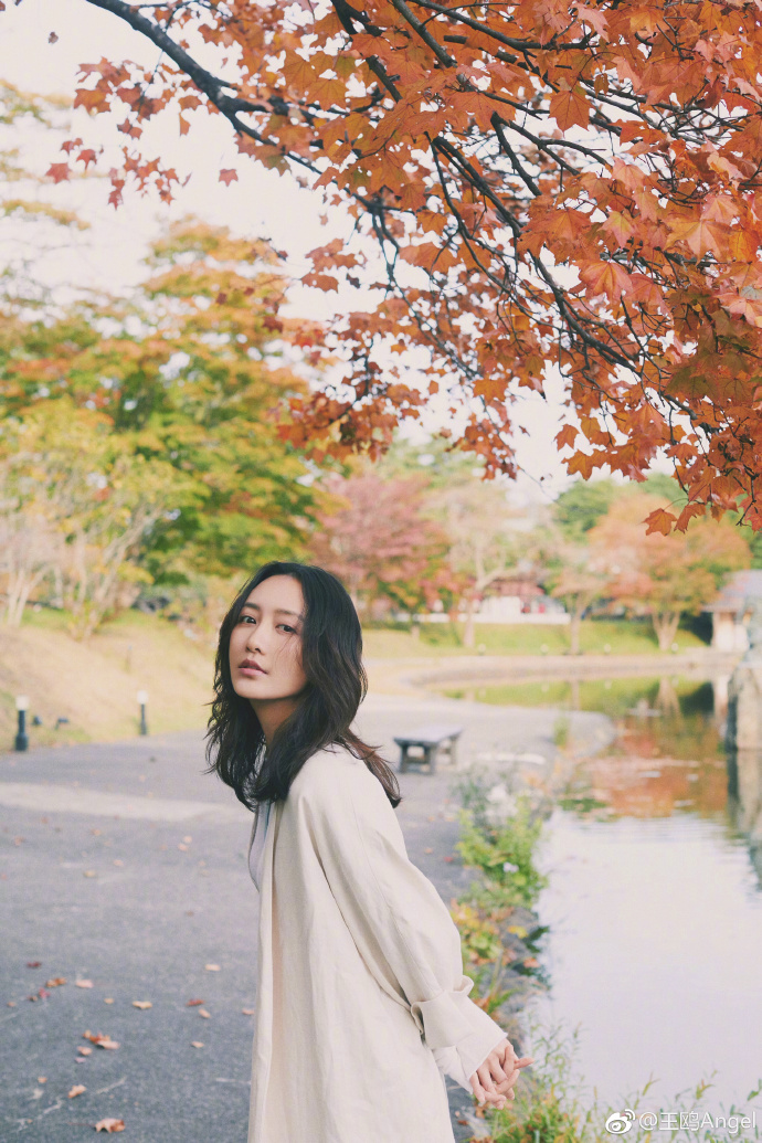 王鸥为什么会说粤语(王鸥为什么唱粤语歌)