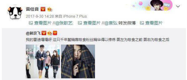 雷佳音黄袜子什么梗(雷佳音先生是什么梗)
