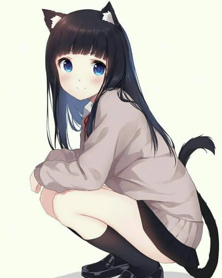 小奶猫女朋友什么意思？小野猫和小奶猫女朋