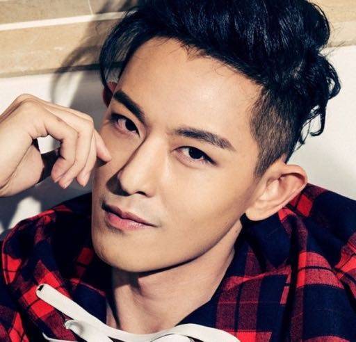 敖犬为什么叫黄金左脸(敖犬是谁呀)