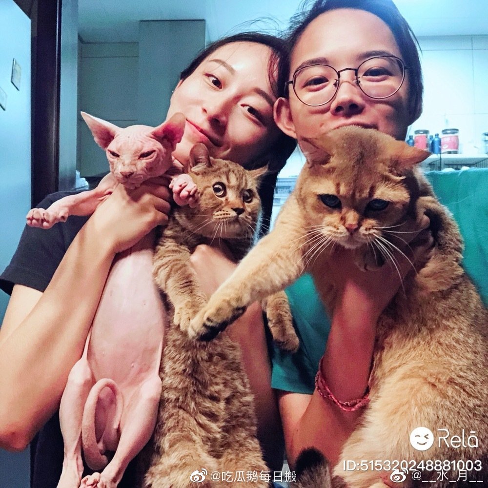 杨丽萍徒弟水月真名叫什么多大年龄了(水月是杨丽萍的什么人) 杨丽萍徒弟水月真名叫什么多大年龄了(水月是杨丽萍的什么人)