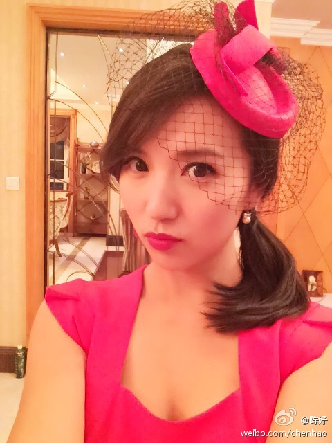 陈好现在在哪在大学当老师吗?陈好的脸型属