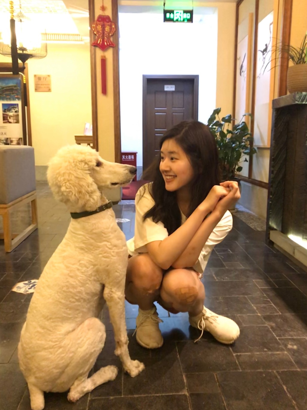 赵露思怎么突然红的(赵露思怎么突然火了) 赵露思怎么突然红的(赵露思怎么突然火了)