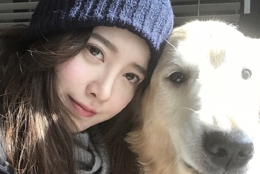 具惠善文笔被夸赞，离婚后散文集推迟出版