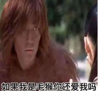 白宇突厥什么梗?白宇玫瑰花的刺、胡子又是 白宇突厥什么梗?白宇玫瑰花的刺、胡子又是