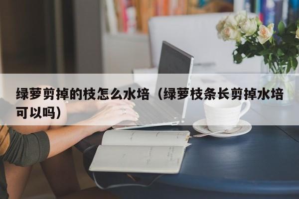 绿萝剪掉的枝怎么水培（绿萝枝条长剪掉水培可以吗） 
