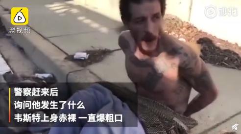 德隆蒂韦斯特为什么叫太上皇