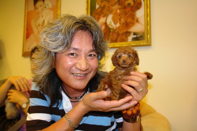 傅艺伟妲己图片(傅艺伟的苏妲己图片)